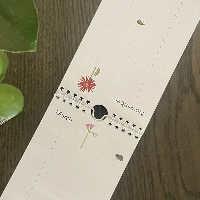 Earrings Birthday Calendar CLIP CLOP