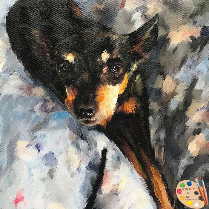 Earrings Portraits by NC Pinscher Dog Digital Portrait