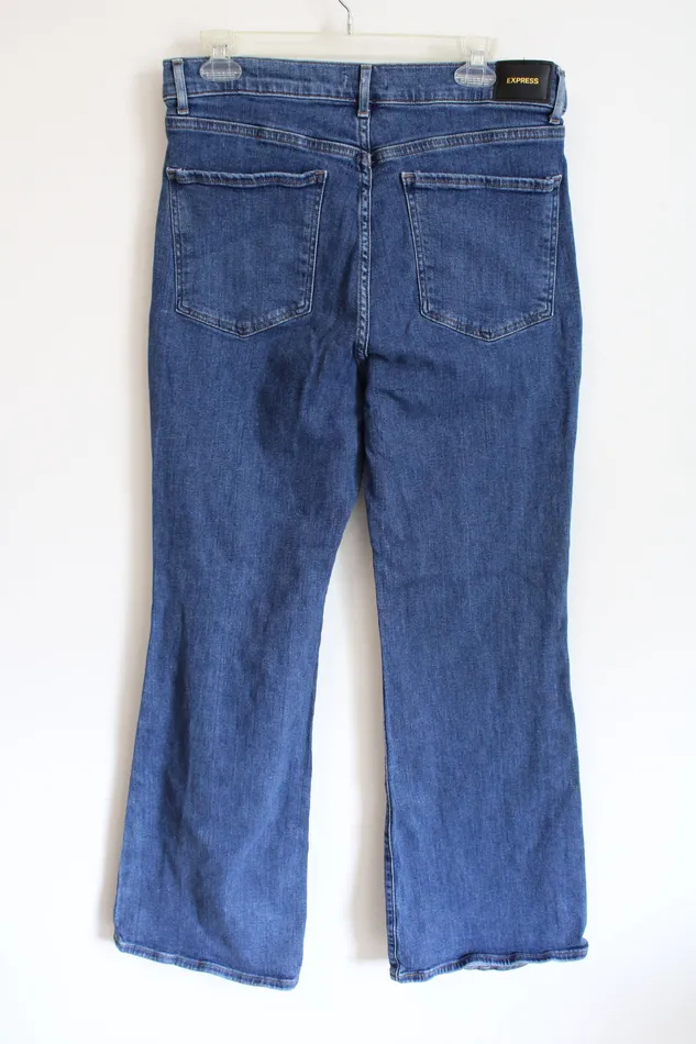 Express Distressed HighRise Flare Jeans 12 Regular Express Earrings