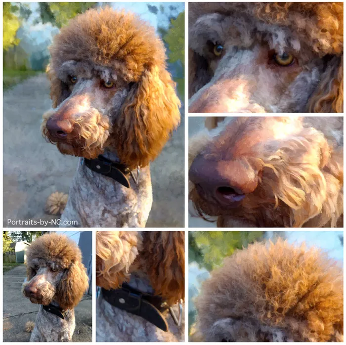 Portraits by NC Earrings Standard Poodle Dog Portrait Digital Portrait
