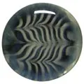 Earrings Gorilla Glass Glass Feather Plugs