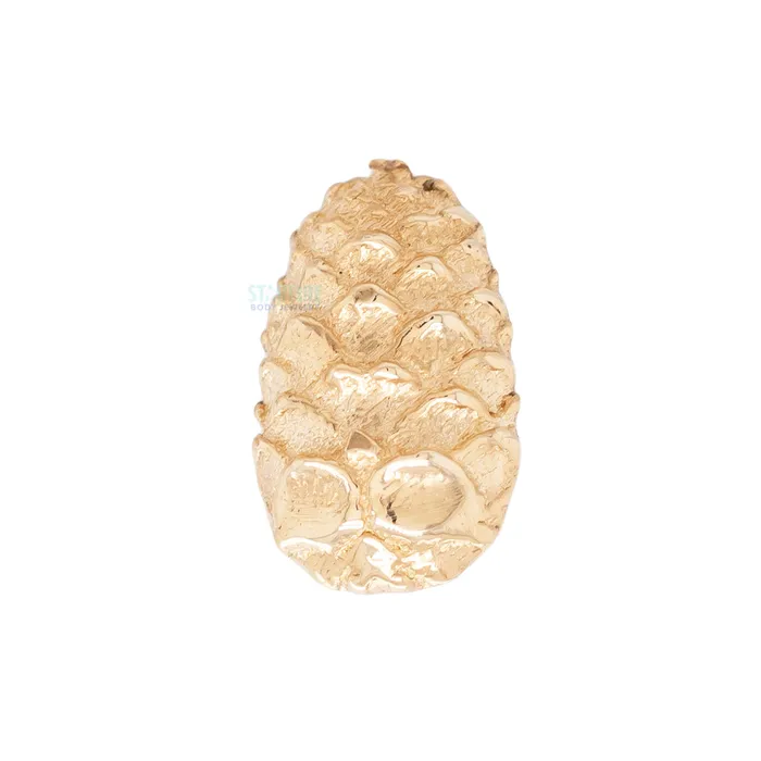 Earrings Mushroom Body Jewelry mushroom Pine Cone Threaded End in Gold