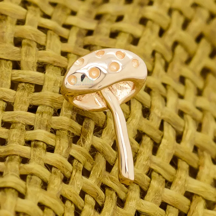 Junipurr Jewelry Earrings threadless Dotty End in Gold