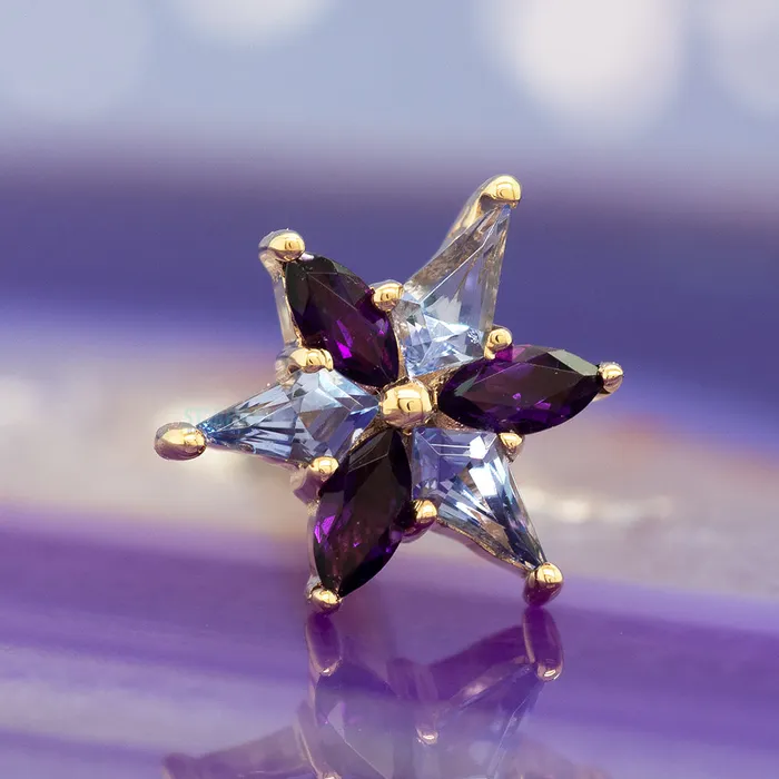 Necklaces Body Vision BVLA Stargazer Threaded End in Gold with Tanzanite Amethyst
