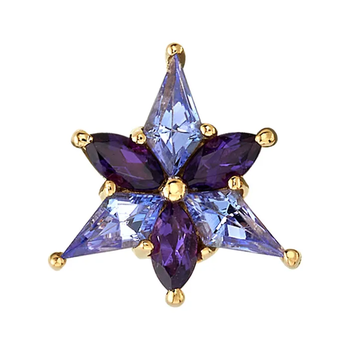 Necklaces Body Vision BVLA Stargazer Threaded End in Gold with Tanzanite Amethyst