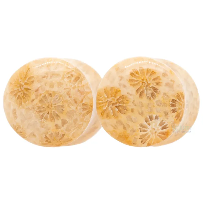 Oracle Body Jewelry Earrings Stone Plugs Fossilized Coral