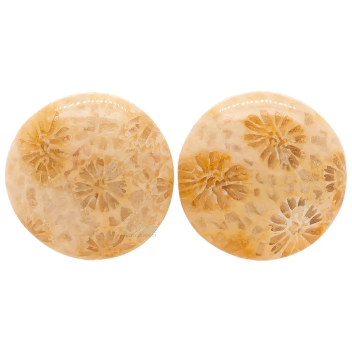 Oracle Body Jewelry Earrings Stone Plugs Fossilized Coral