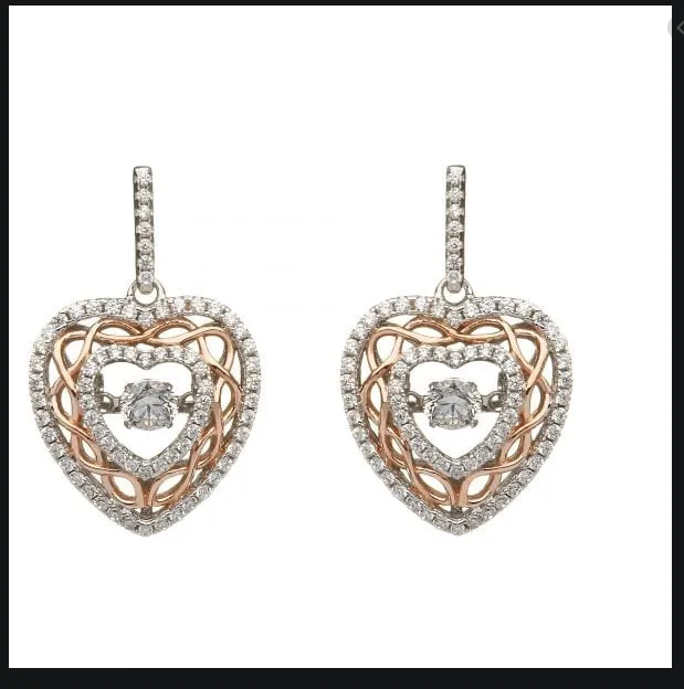 DSEOO6SIL Boru Earrings
