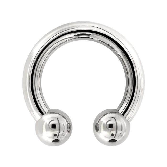 Earrings Circular Barbell Titanium Anatometal