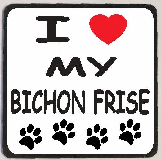 M141 I Love My Bichon Frise Iris Fashion Jewelry Earrings