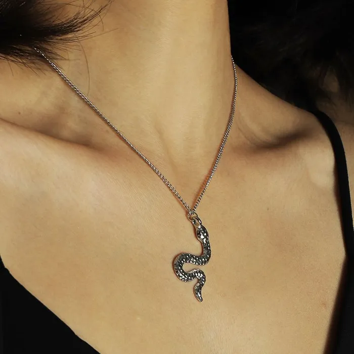 N1223 Silver Snake Necklace with FREE Earrings 01 Necklaces