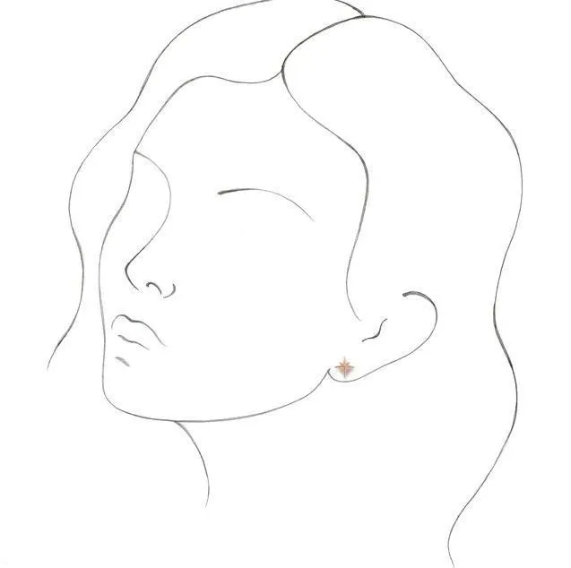 Star Earrings Fire Brilliance Earrings
