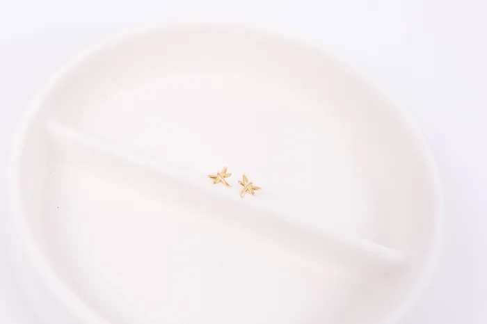 Unspecified Earrings Dragonfly Screwback