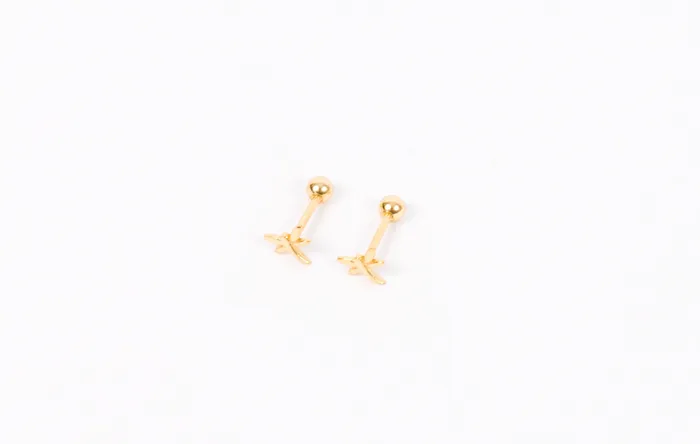 Unspecified Earrings Dragonfly Screwback