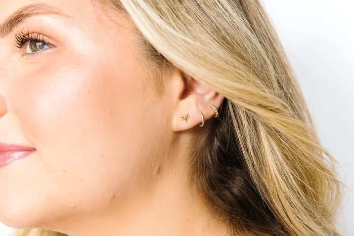 Unspecified Earrings Dragonfly Screwback