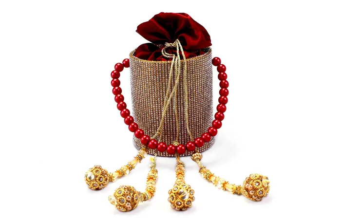 Walkeaze Earrings Women Party Bag 3250B