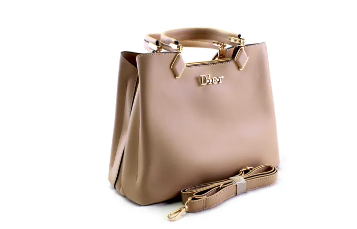 Walkeaze Earrings Women Stylish Bag 3253B