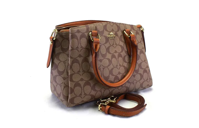 Walkeaze Women Stylish Bag 13760B Earrings