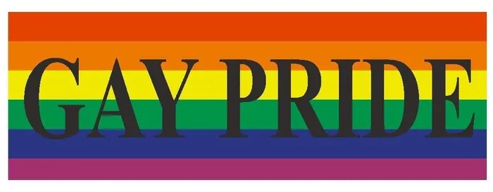 Winter Park Products Earrings STD392 Gay Pride Gay Rights Equality Bumper Sticker Winter Park Products Earrings STD392 Gay Pride Gay Rights Equality Bumper Sticker